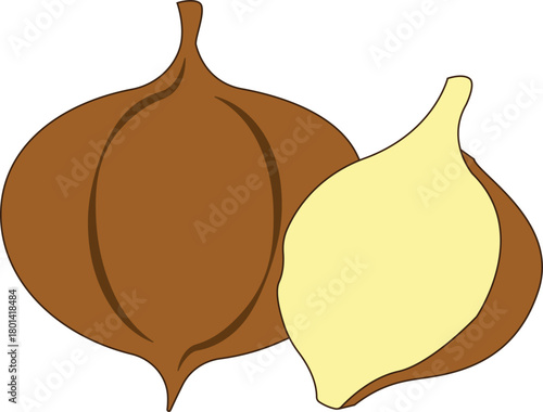 Jicama Fruit Flat Design Cartoon Icon Illustration