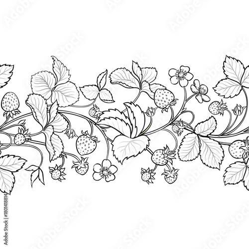 Strawberry Branch with Flowers, Berries and Leaves Outline Horizontal Seamless Pattern. Organic natural nutritional healthy food ingredient, vegetarian diet product. Vector isolated for design or deco