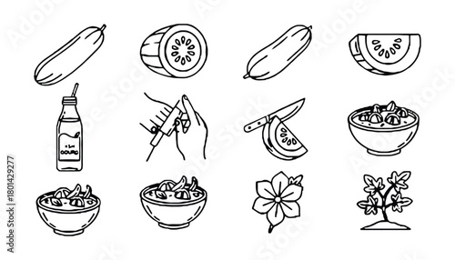 Ash gourd vegetable benefits and recipes outline vector design