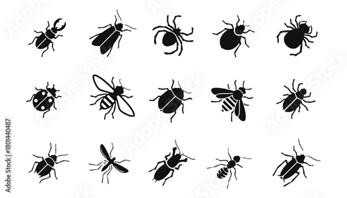 Vector silhouettes of common insects and pests for design use