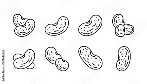 Bean vector illustration set food ingredient healthy diet
