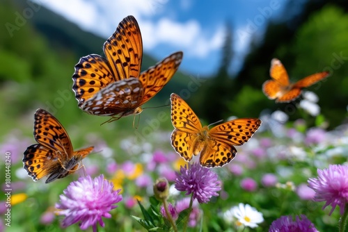 Colorful butterflies fluttering over vibrant wildflowers in a sunny meadow