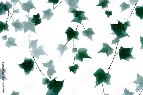 Watercolor Ivy Vine Trailing Pattern with Green Leaves Organic Floral Design Artwork