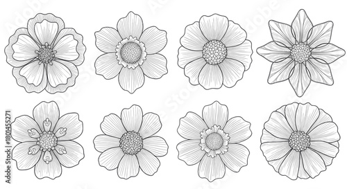A collection of eight detailed flower illustrations, each with unique petal arrangements and center designs, presented in a clean, monochrome style.