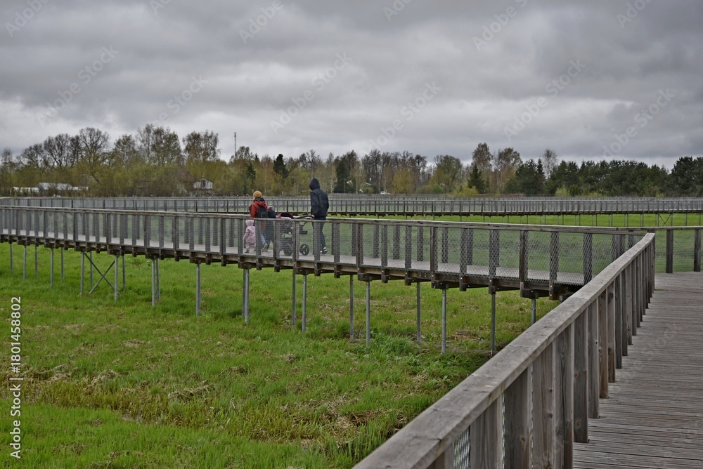 Fototapeta premium Pedestrian bridges for walking.