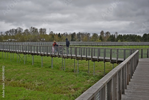 Pedestrian bridges for walking.