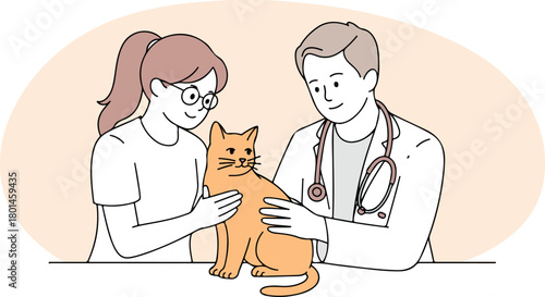 Veterinarian examines a cute ginger cat with its female owner in the hospital