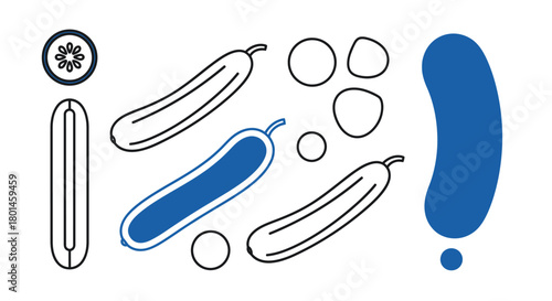 Cucumber illustration for healthy eating concepts and food designs