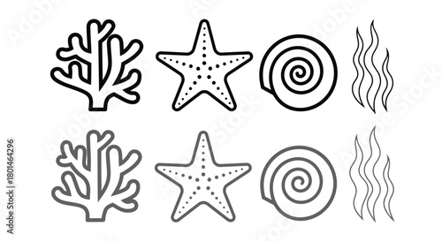 Explore vibrant sea life with starfish, coral, shells, and seaweed