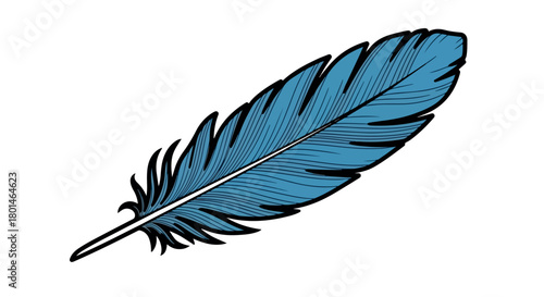 Blue feather with transparent background