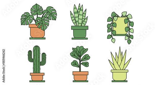 Illustrative potted plants set for interior design and home decor ideas