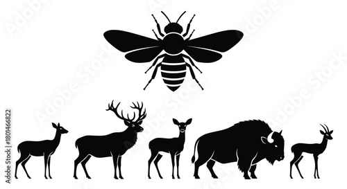 Stunning wildlife silhouettes featuring buffalo, deer, and a bee