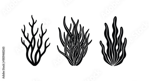 Elegant seaweed silhouette designs for modern ocean-themed graphics