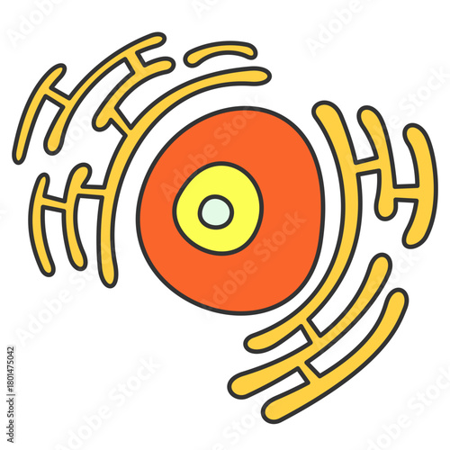 Nucleolus and endoplasmic reticulum