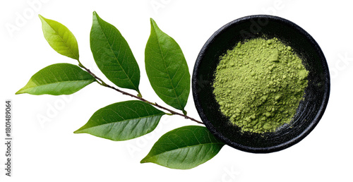 Green tea leaves on branch next to bowl of matcha powder