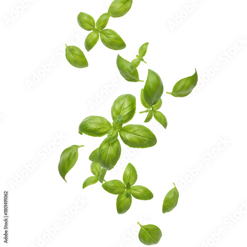 Green Basil Leaves Falling in Fresh Culinary Style