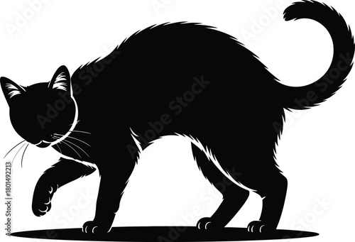 Black Cat Silhouette Walking with Tail Up on White Background animal