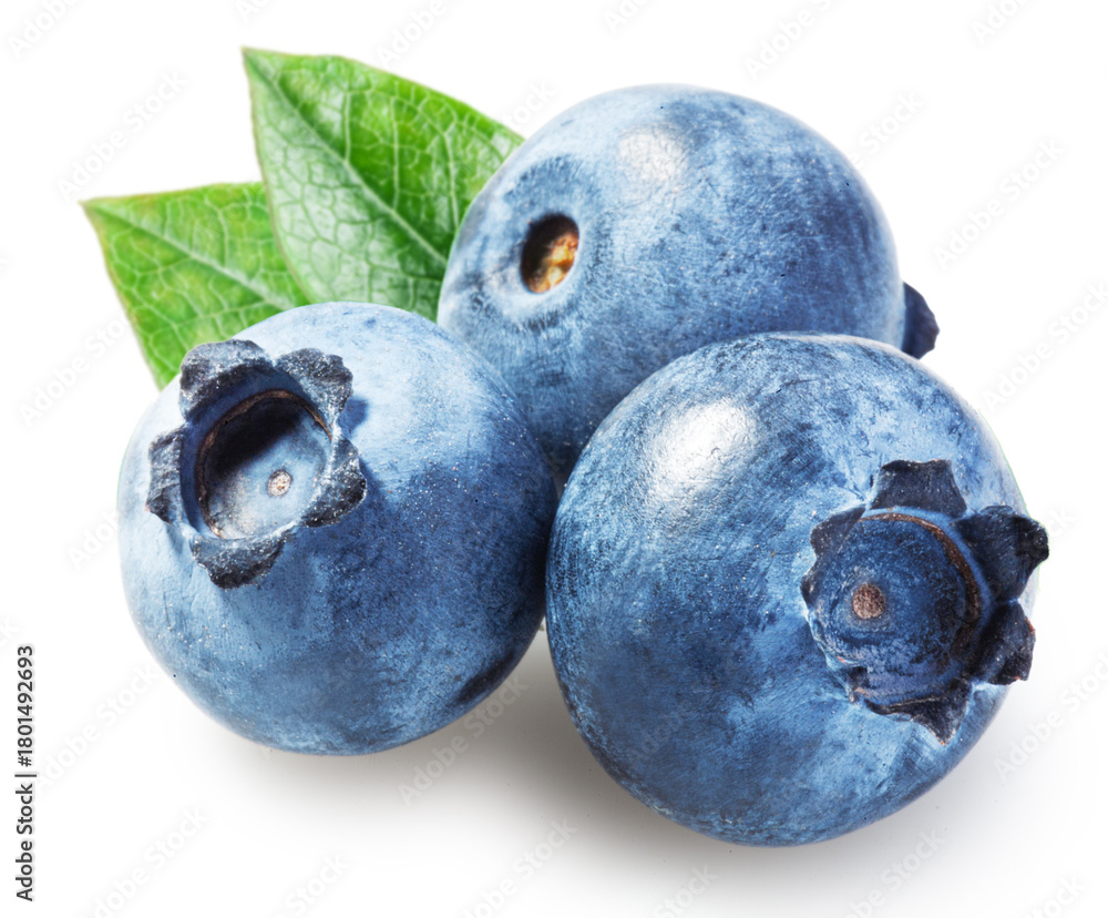 Obraz premium Ripe blueberries with green blueberry leaves isolated on white background. File contains clipping paths.