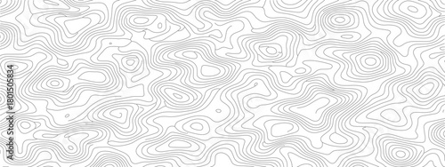 Topographic contour lines seamless pattern detailed cartography relief map great for backgrounds and textures