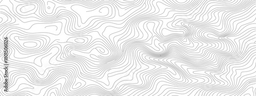 Abstract Topographic Contour Lines on White Background 3.
