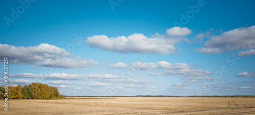a serene rural landscape featuring a harvested field with golden hues. A line of trees with autumn foliage stands under a vast sky dotted with fluffy white clouds