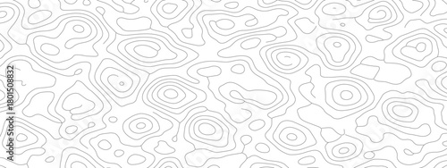 Abstract white background with gray topographic contour lines.