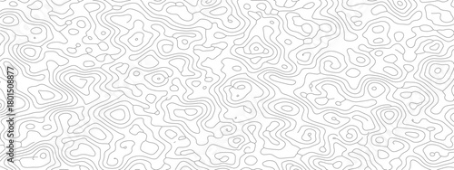 Abstract white background with subtle gray organic lines and fluid shapes.