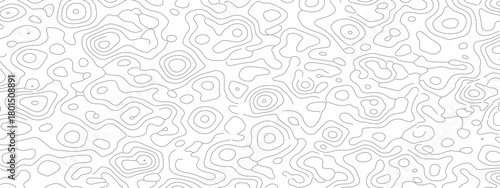 Abstract white background with grey topographic contour lines.