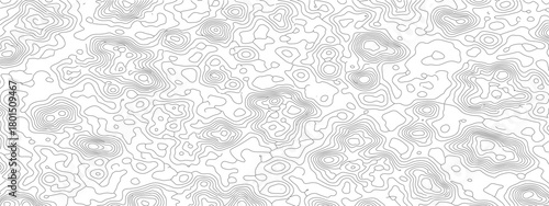 Abstract white texture with subtle grey contours and organic shapes.