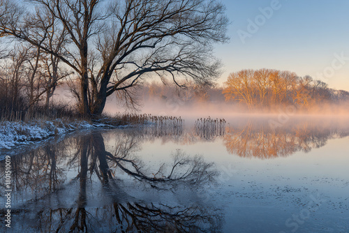 Serene winter morning scene with foggy lake and bare trees