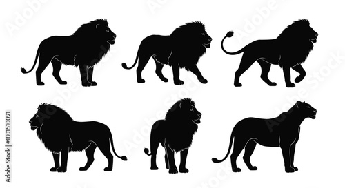 Lion silhouette vector illustration set animal wildlife predator art