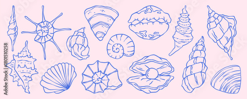 Vintage seashell and coastal doodle illustration with beach elements. Hand drawn scallop shell vector with ocean and nautical details in retro style. Marine sketch for summer travel designs.