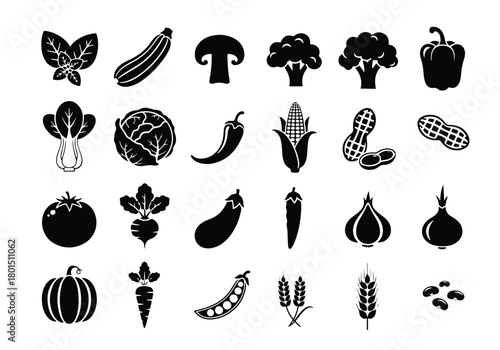 Collection of various healthy vegetables and grains - Vector icon symbol for website - Icon vector - Blue icon vector -  Flat Design Icon