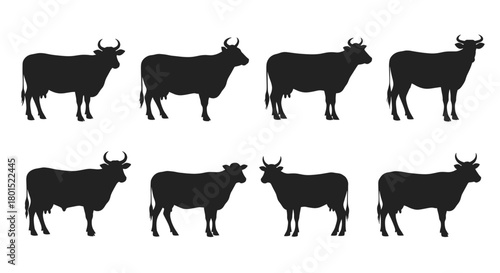 Eight black cow silhouettes stand in two rows against a white background.