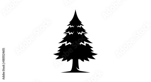 A stark silhouette of a coniferous tree, embodying the essence of nature and the winter season isolated on