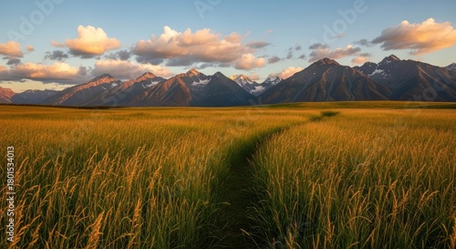 A field of tall grass with mountains in the background at sunset