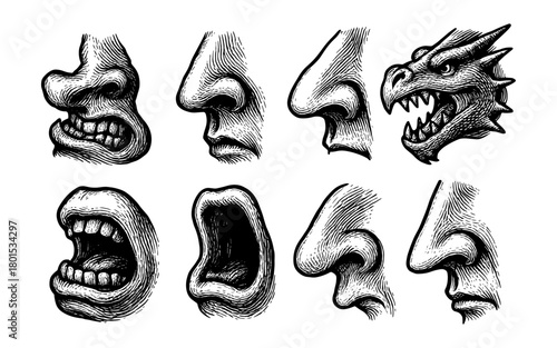 Hand-drawn vintage faces and dragon sketches with intricate details