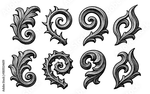 Intricate ornamental swirls set in vintage baroque style