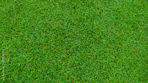Obraz na płótnie Lush green grass texture background perfect for lawns parks and golf courses
