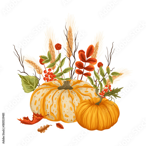 Pumpkins with rowan berries, fall leaves, dry wheat branch. Seasonal autumn harvest design for greeting card, poster, sticker. Vector hand drawn cartoon illustration isolated on white background
