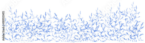 Snowflake frost patterns. Vivid ice crystal textures on clear glass window. Glacial. Frozen surface, snow flake structure, or freezing cold winter background.