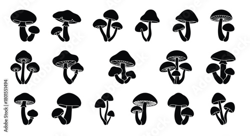 Mushroom vector illustration set black and white edible fungus art