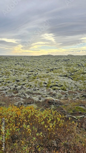 Ancient lava field blanketed in soft green moss under a dramatic Icelandic sky. A surreal, otherworldly landscape shaped by volcanic forces and time.