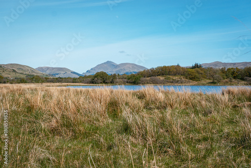 Sunny summer landscape of Scottish Highlands with tall wild grass and loch