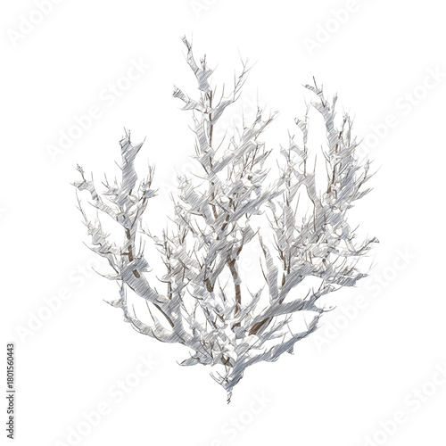 Bush snow covered isolated transparent background sketch PNG
