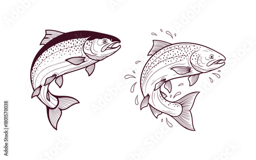Salmon depicted in a highly detailed line art style. Hand-drawn fish vector illustration. Fish tattoo on a pristine white background. Black and white fish vector art on a white surface.