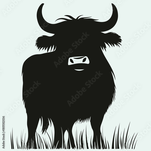 Silhouette of Highland Cow with Long Hair and Curved Horns Standing on Grass Minimalist Black Vector Animal Illustration