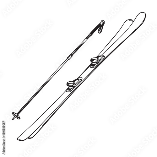 Sketch of a pair of skis and a pole for winter recreation.