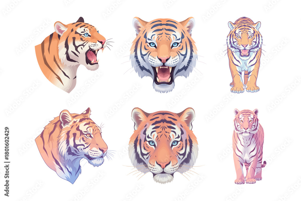 Naklejka premium A collection of vector illustrations of tigers in various poses. A collection of vector clip art of tigers with clean backgrounds.