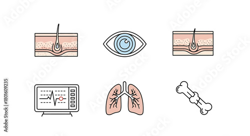 Anatomy and medicine color line icons set. Human organs, skin cross-section, eye, lungs, bone, and electrocardiogram monitor